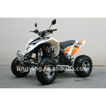 Aprobación de 300cc cuatriciclos moto/atv EEC